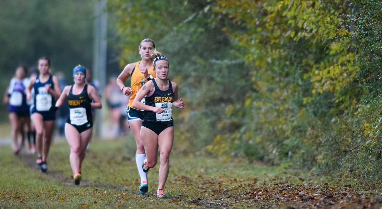 Cross Country Competes at Queens Invitational